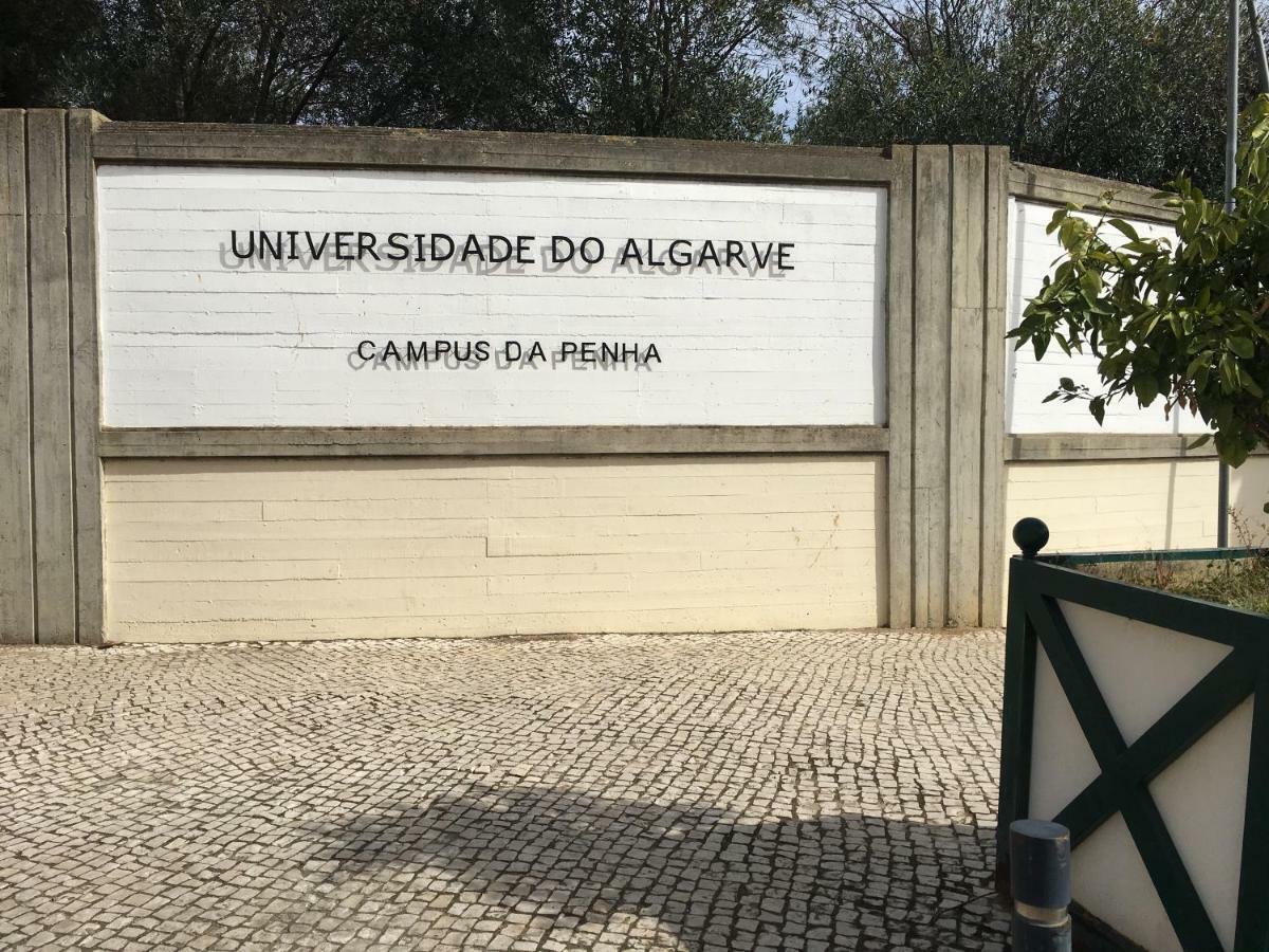 Appartamento Casa Do Marinheiro Distretto di Distretto di Faro Esterno foto